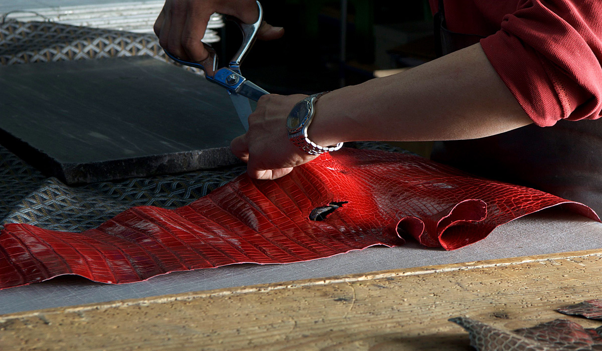 Cutting of the skin